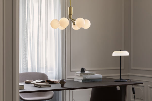 Apiales 6, brushed brass / opal