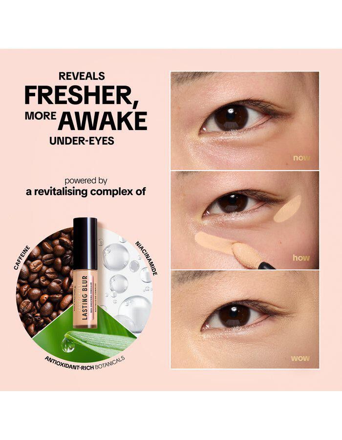 Facefinity Lasting Blur Concealer