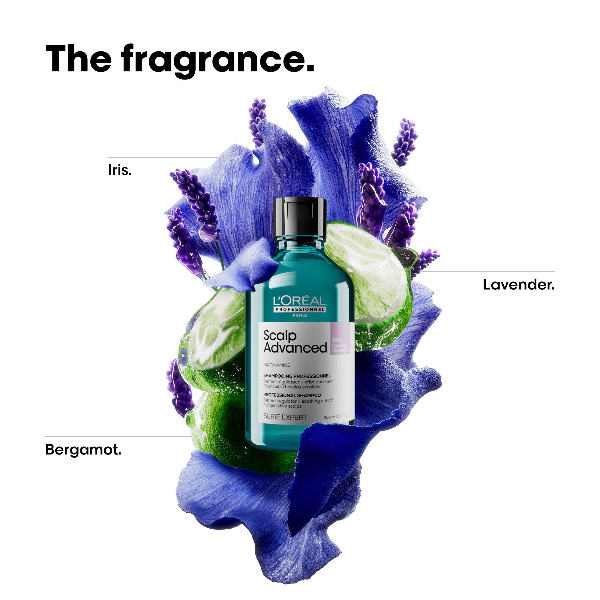 L'Or&eacute;al Professionnel Scalp Advanced Anti-Discomfort Shampoo 500ml