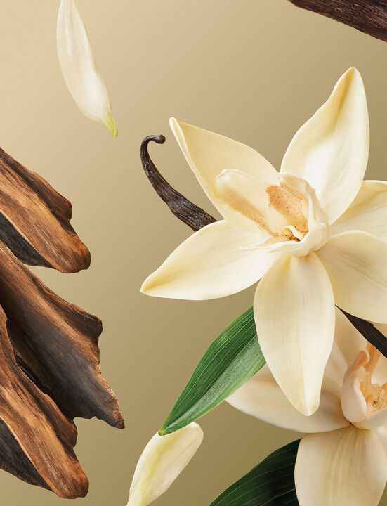 Intuitia Exfoliating Hand Wash 325ml