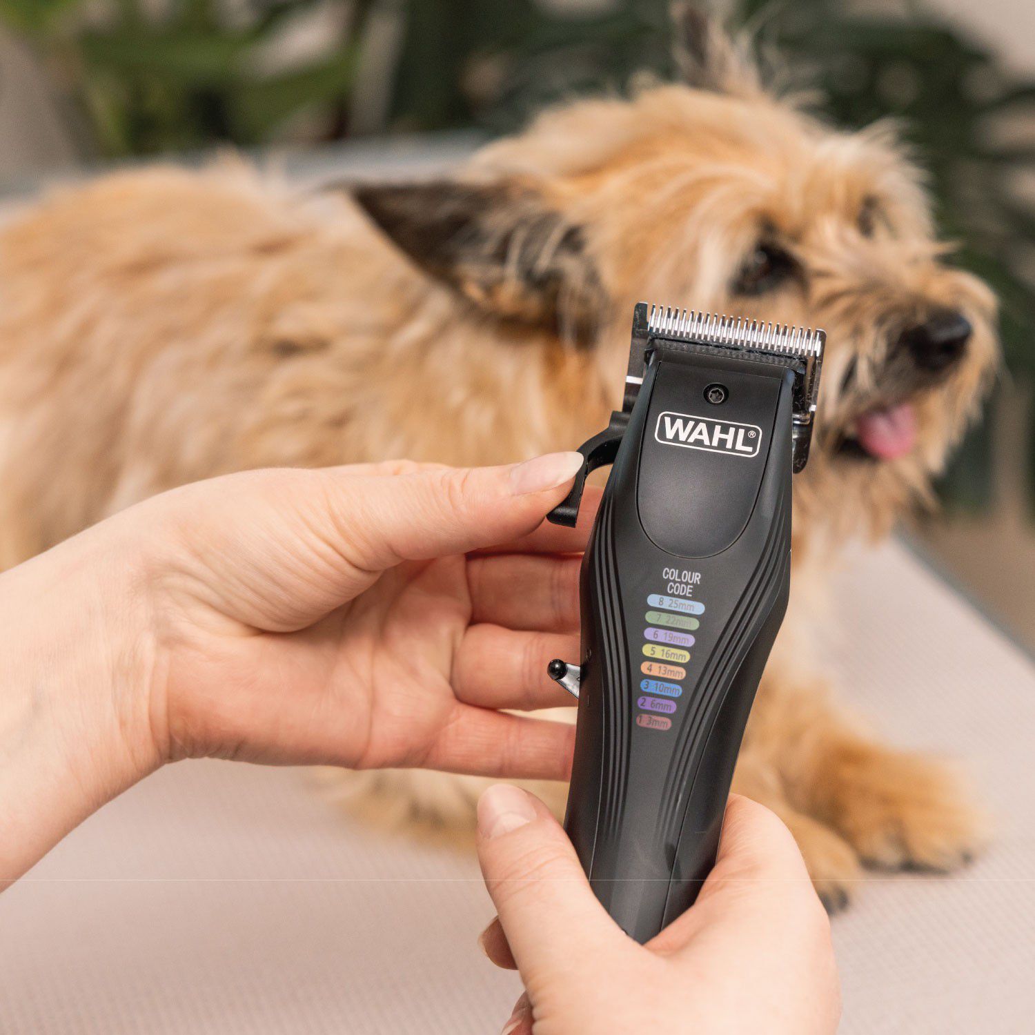 WAHL Hundeklipper Colour Pro