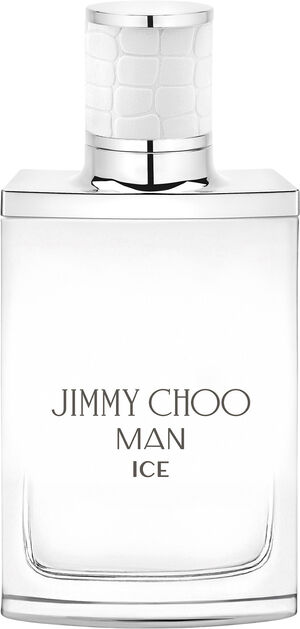 Man Ice Eau De Toilette