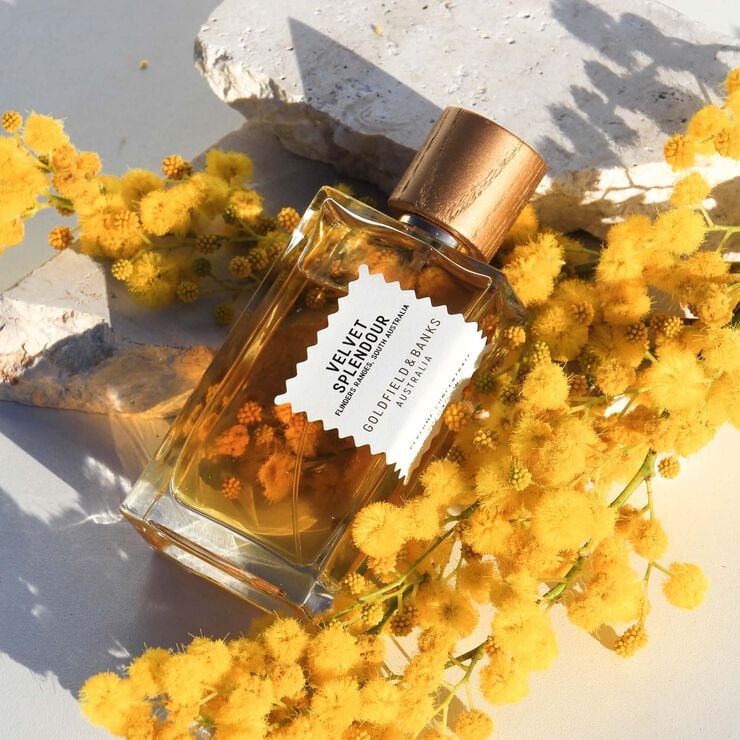 VELVET SPLENDOUR Perfume 100ml