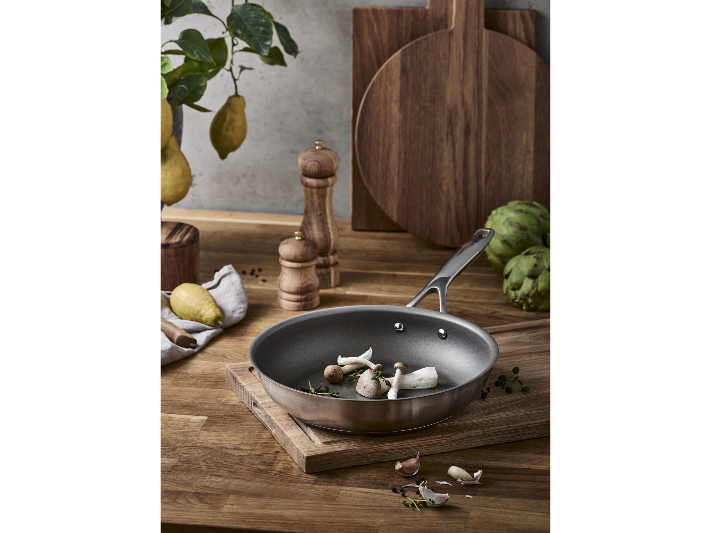 Stekepanne Alagnon 20 cm Titanium
