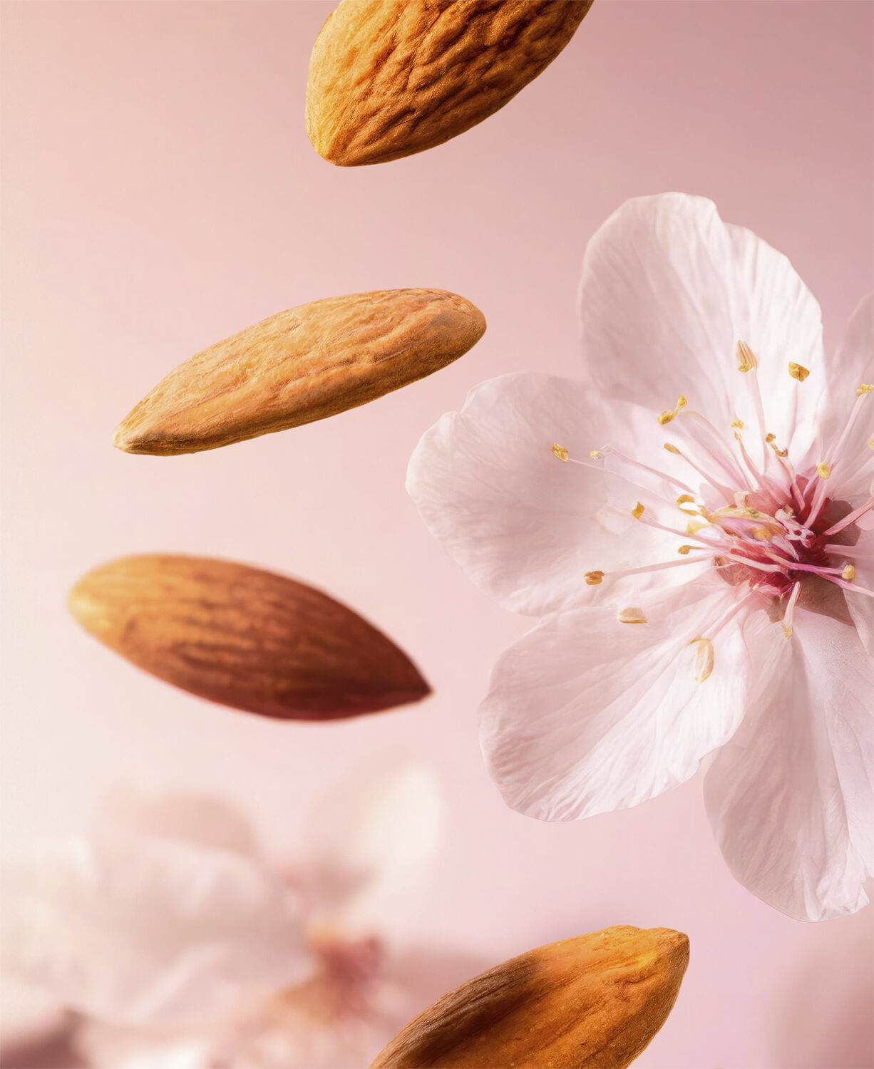 The Ritual of Sakura Shower Oil