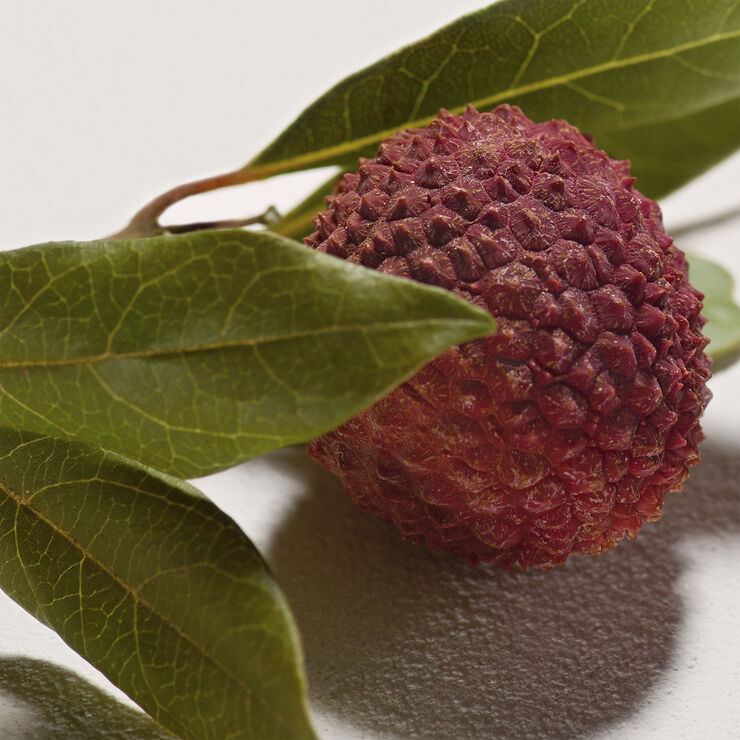 CHLOÉ Signature Eau de parfum refillable 100 ML