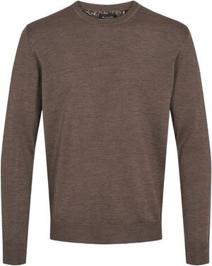 Merino - Iq