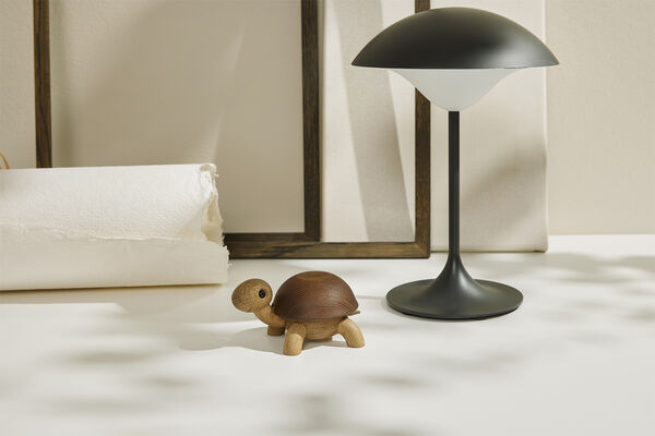 Speedy, skildpaddeunge