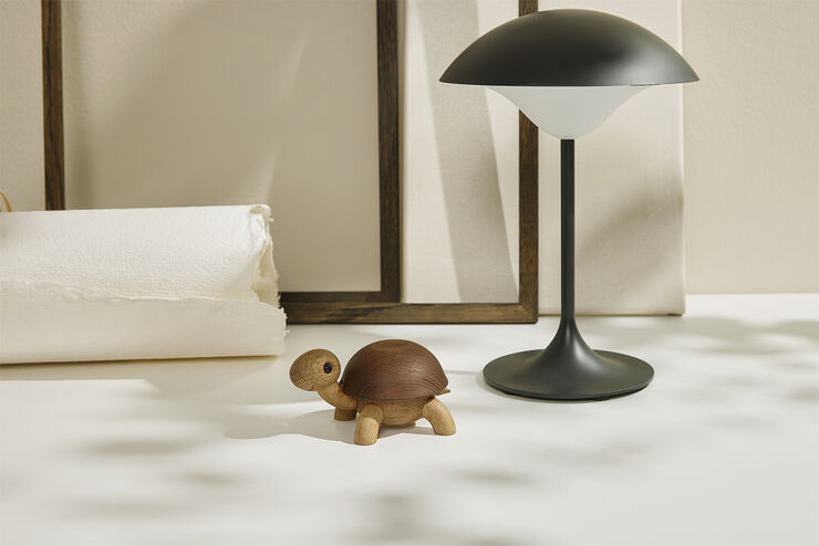 Speedy, skildpaddeunge