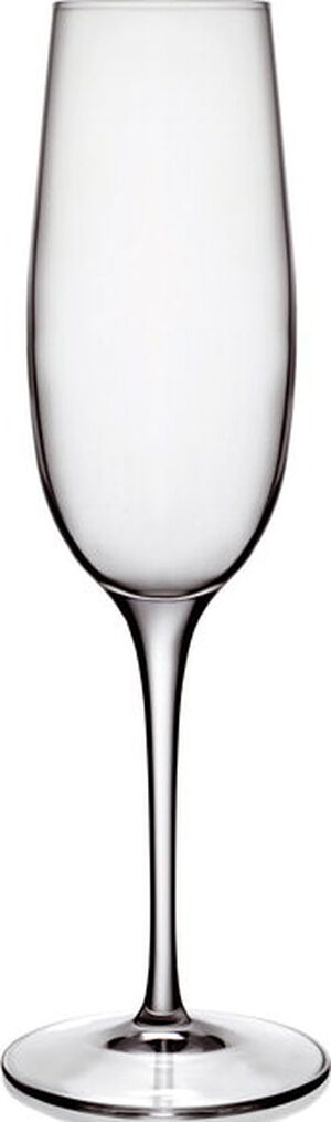 Champagneglas Palace 23,5 cl 6 st Klar