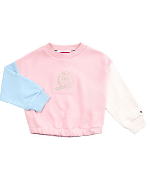ICON COLORBLOCK SWEATSHIRT