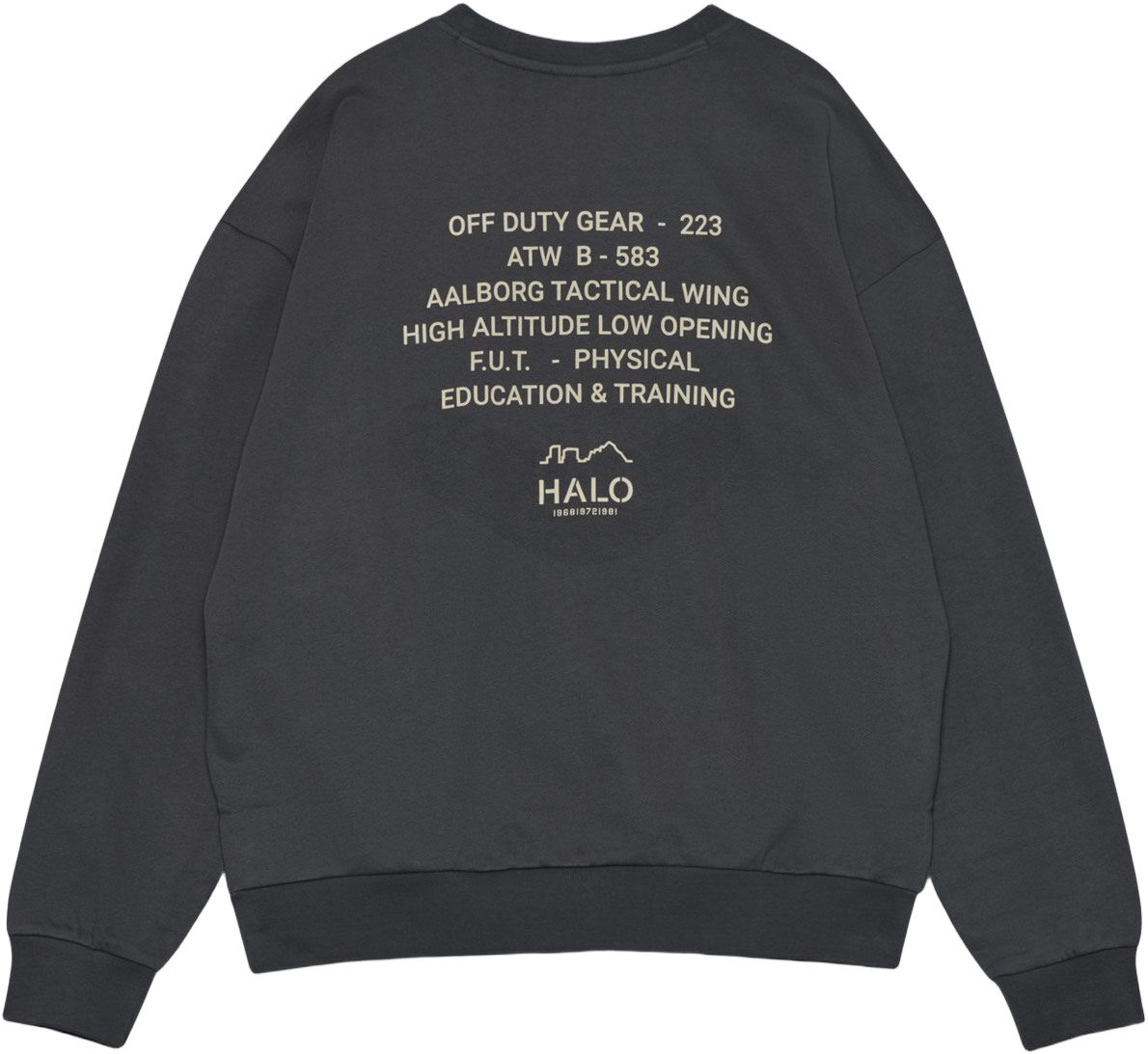 HALO GRAPHIC BOXY CREW