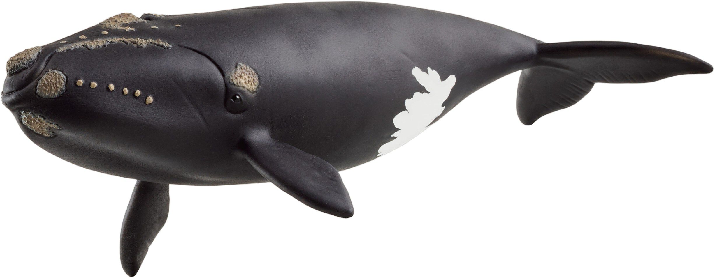Schleich North Atlantic R
