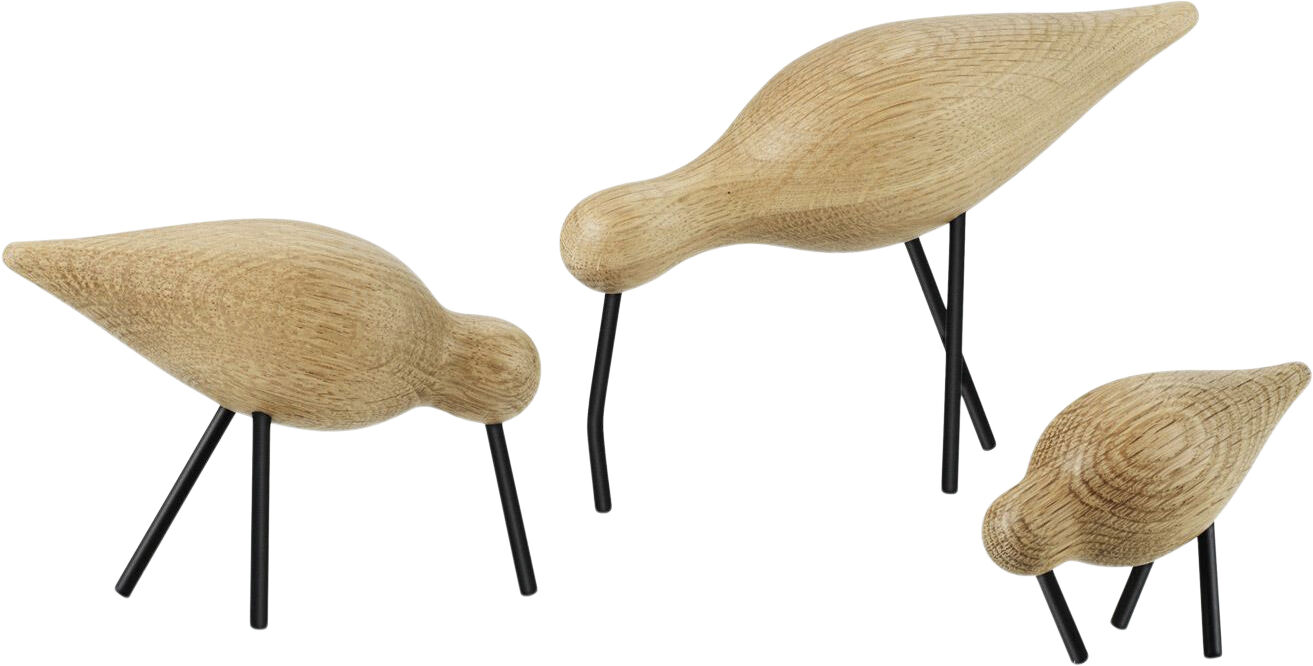 Shorebird lille sort