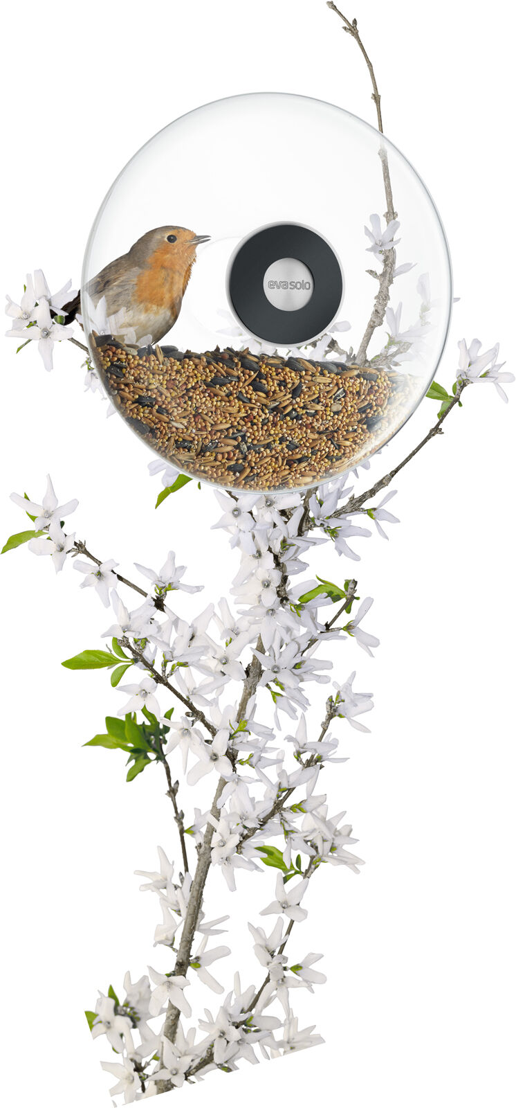 F&ocirc;rkule til vindu stor