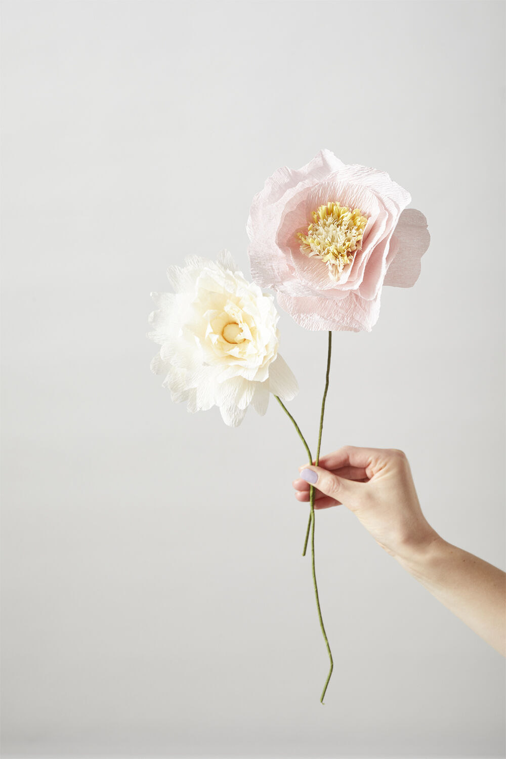 PAPER FLOWER, ICE POPPY, ROSE, 130440R