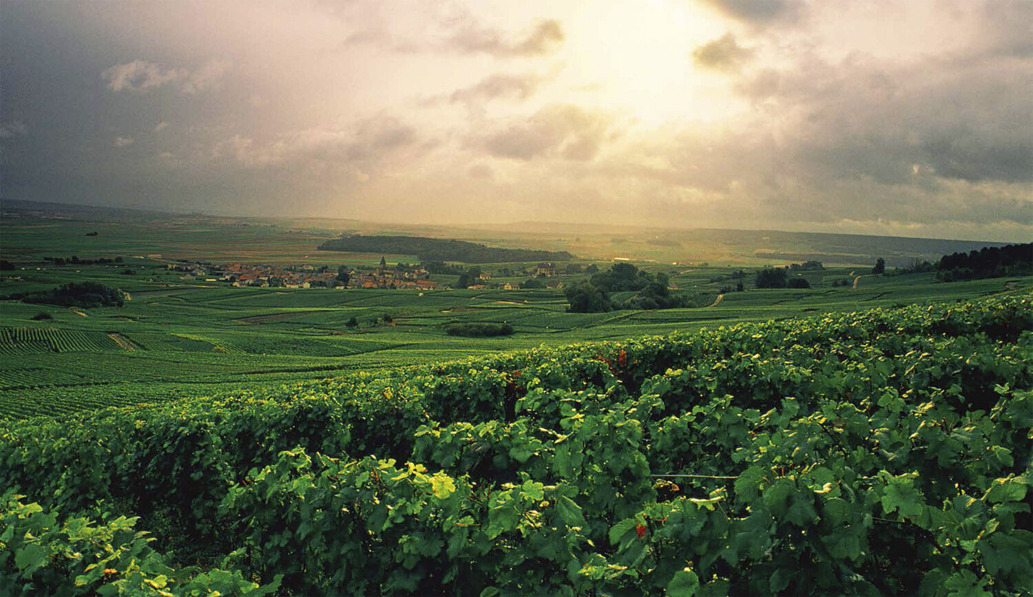 Champagne - Wine of Kings and the King of Wines