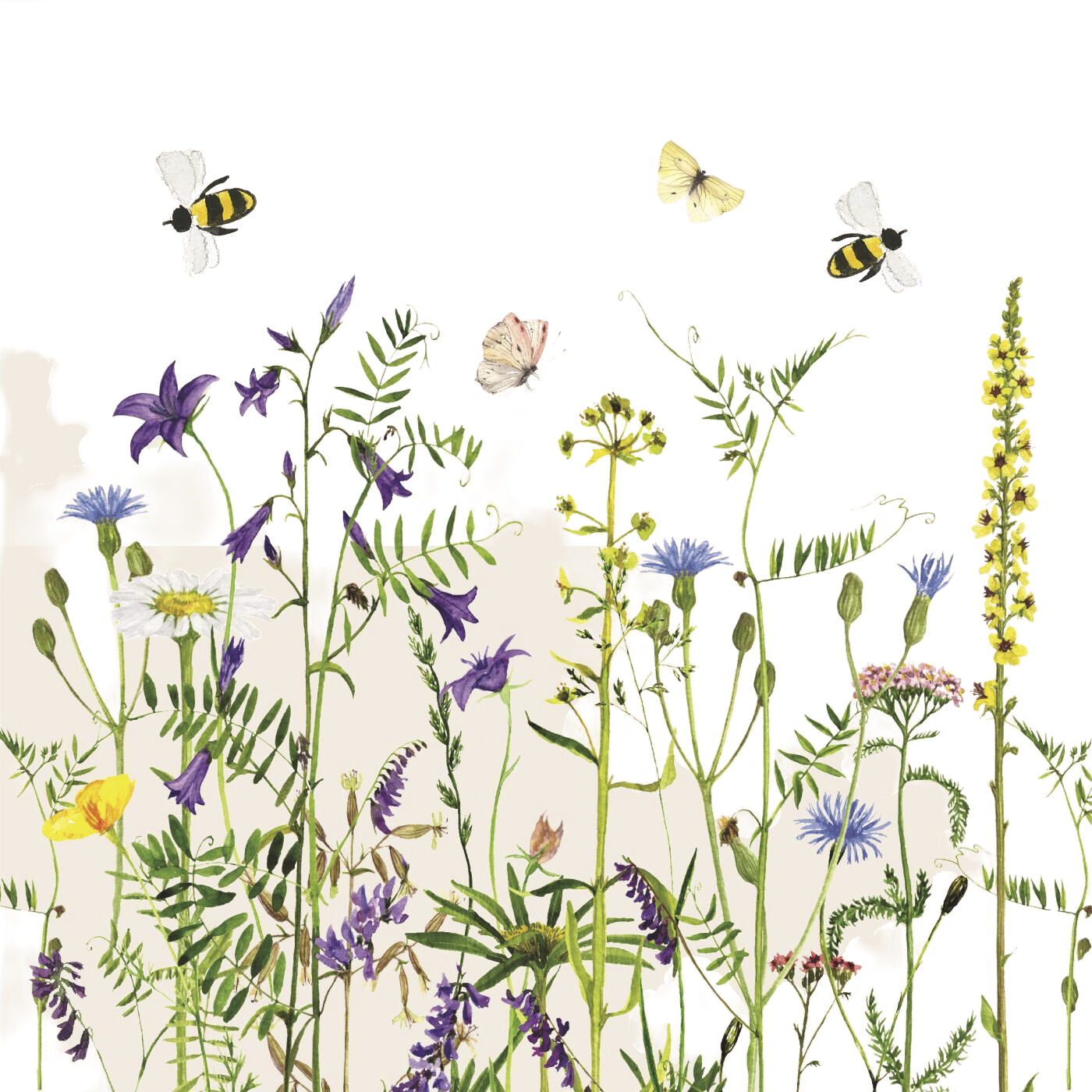 Serviet Summer Field