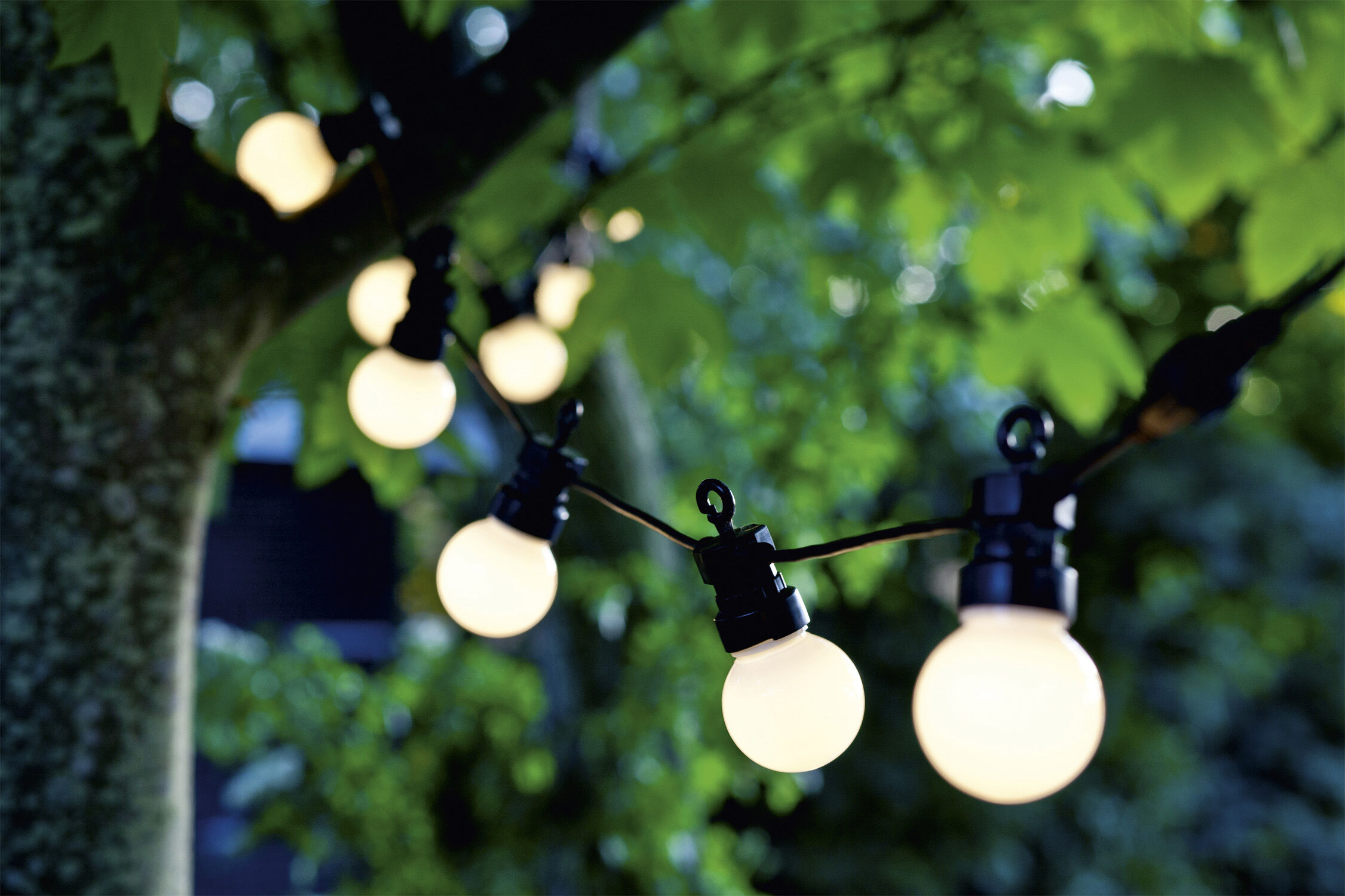 Lucas start set, Frosted , 3m+3m