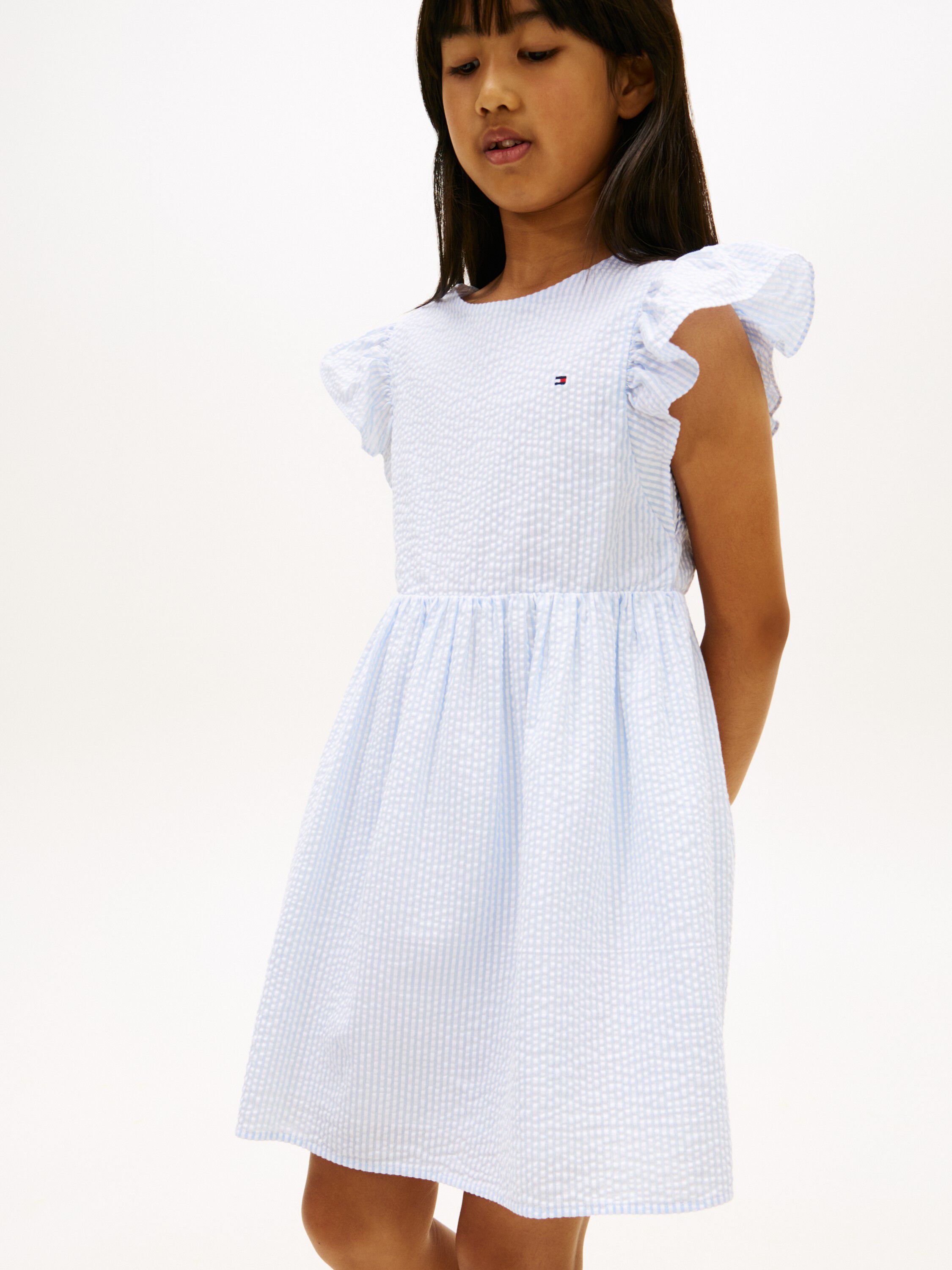 Stripe Seersucker Fit And Flare Dress