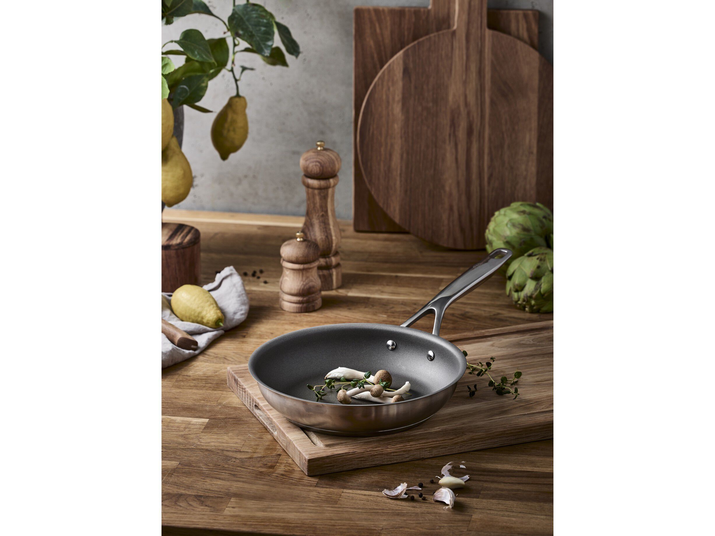 Stekepanne Alagnon 20 cm Titanium