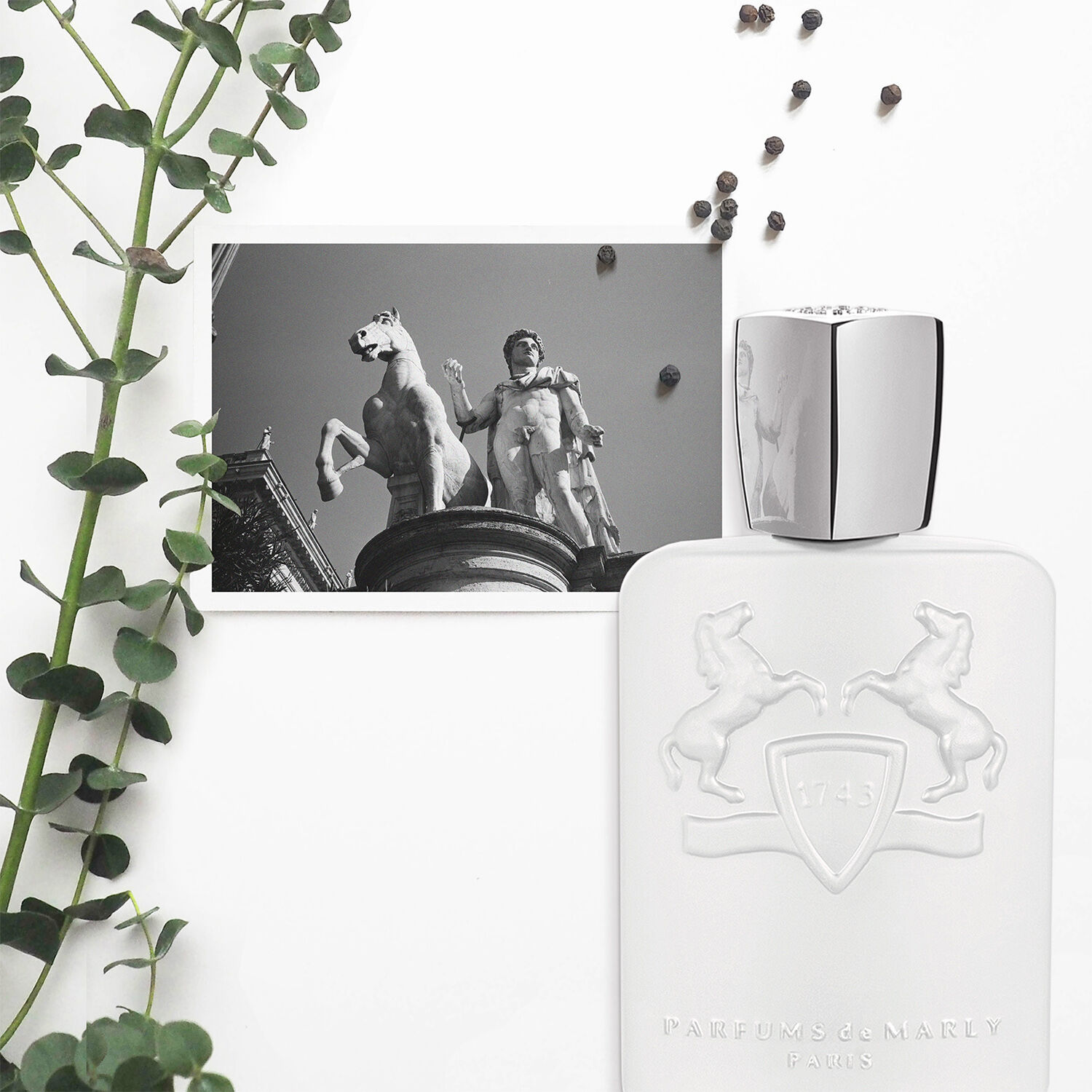 Galloway Eau de Parfum