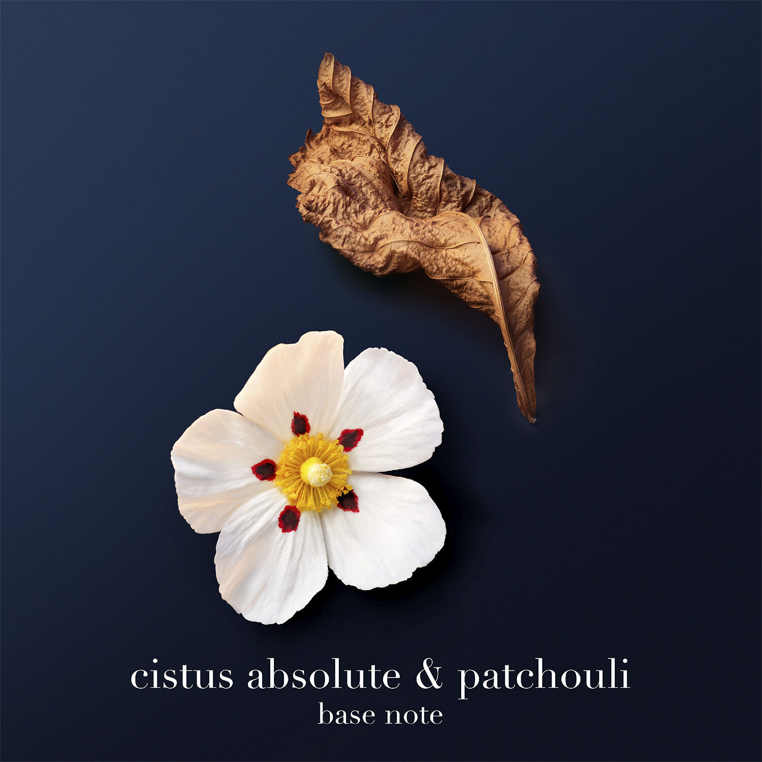 Acqua di Gi&ograve; Profondo Parfum