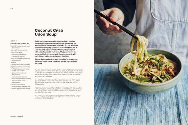 Vietnamese Made Easy