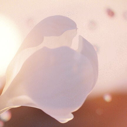 Id&ocirc;le Now Eau de Parfum