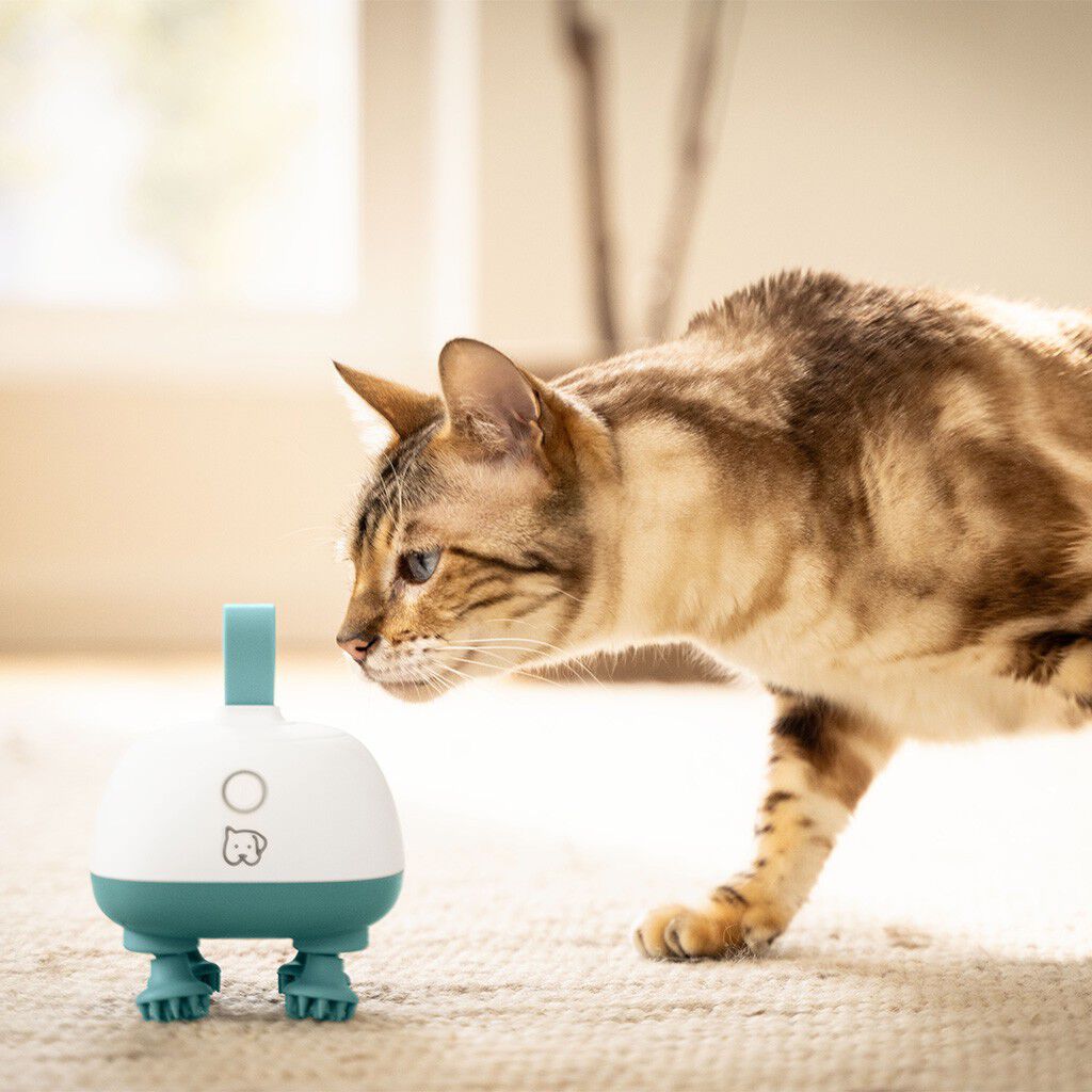 PetCare PP 410 Buddy Massasjeapparat for kj&aelig;ledyr