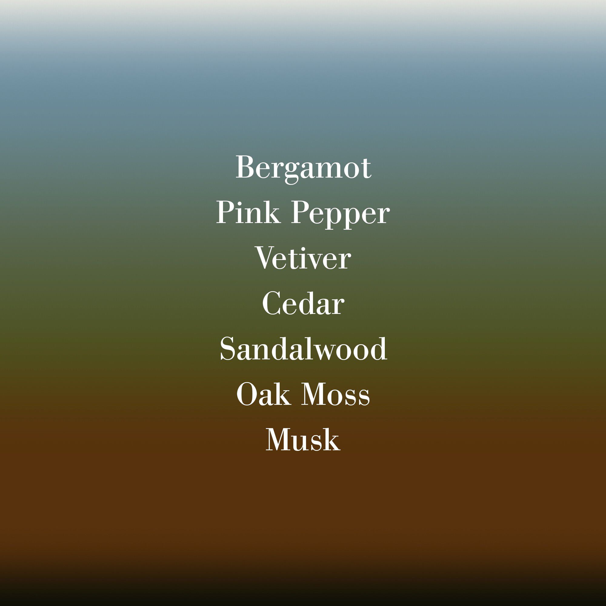 VETIVER EXTRAORD ASMB 100ML/3. 4FLOZ