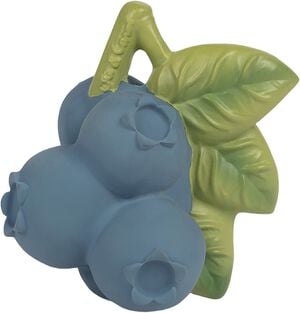 Oli & Carol - Bidering - Jerry the Blueberry