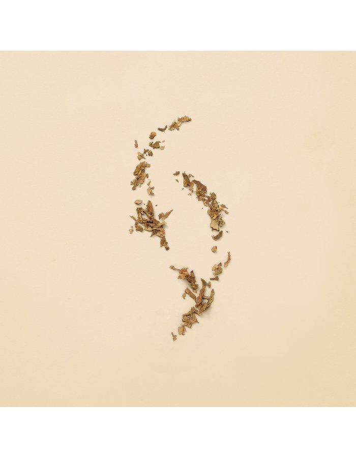 GUCCI Guilty Pour Femme Eau de toilette 50 ML.