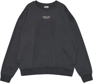 HALO GRAPHIC BOXY CREW