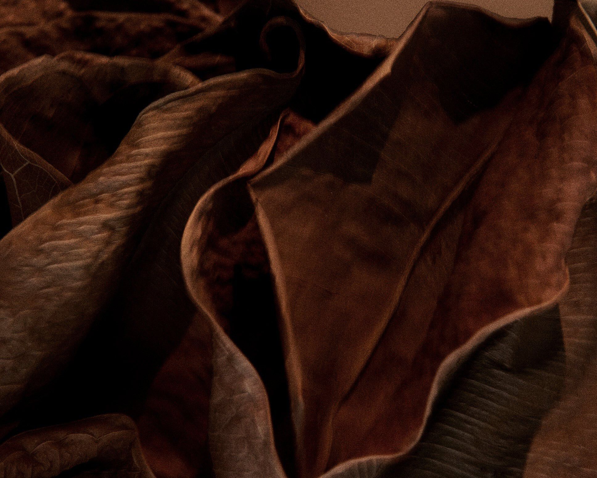 Perfume Oil | 1917 | 10 mL