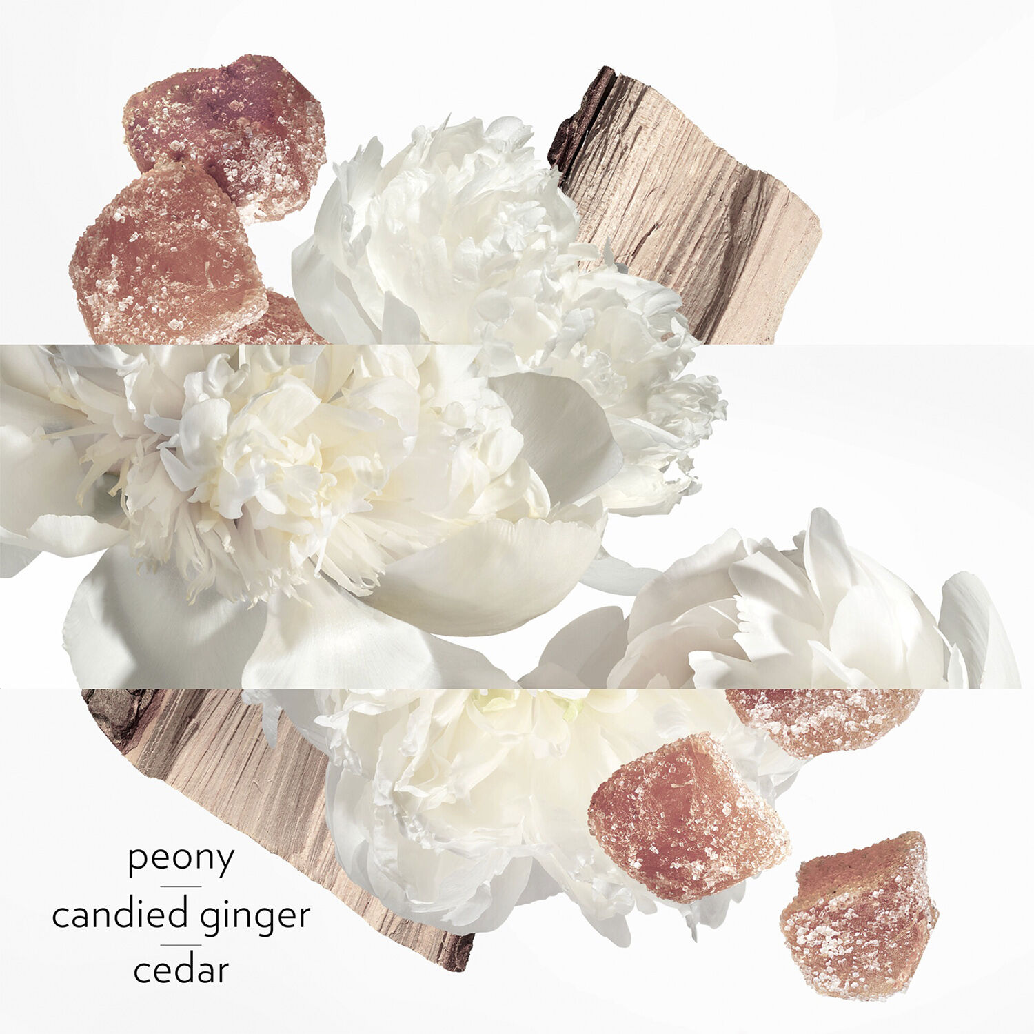 TWILLY D'HERM&Egrave;S EAU GINGER EAU DE PARFUM