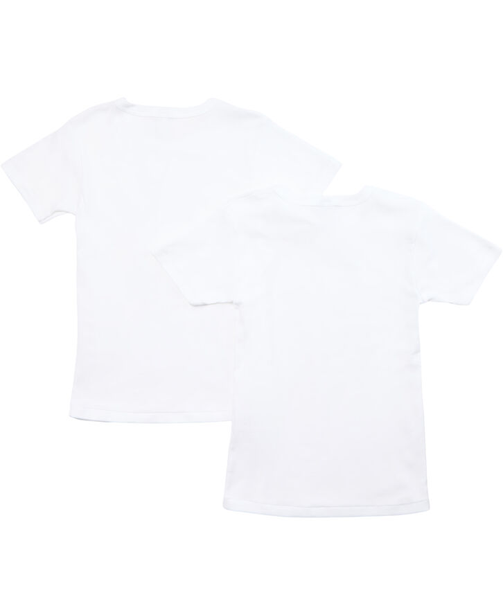 2 TEE SHIRTS MC varian5A