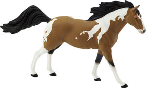Pinto Mustang