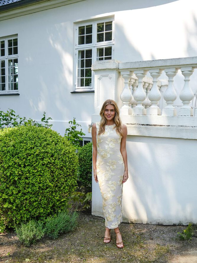 Tiranna Big Flower Mesh Dress