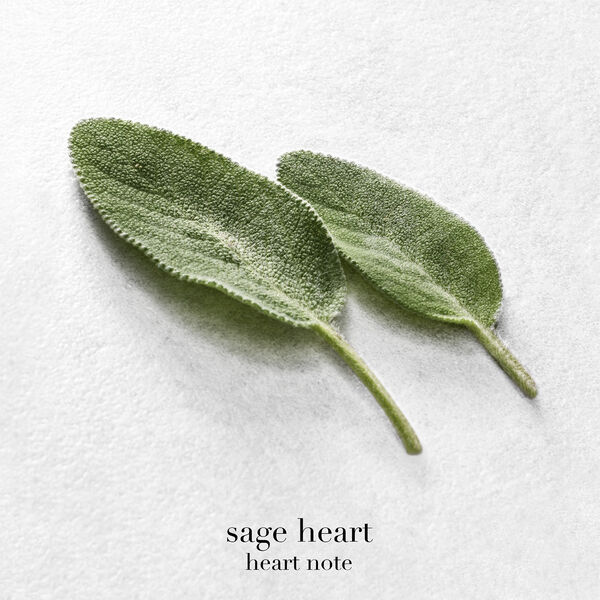 Acqua di Giò Eau de Parfum