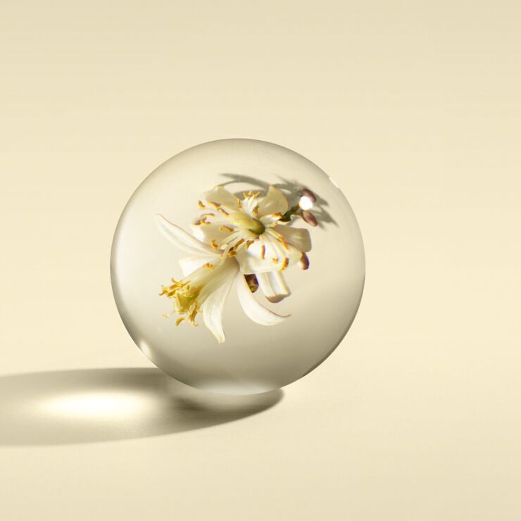 ORANGE & BERGAMOT HAND WASH (GLASS BOTTLE)