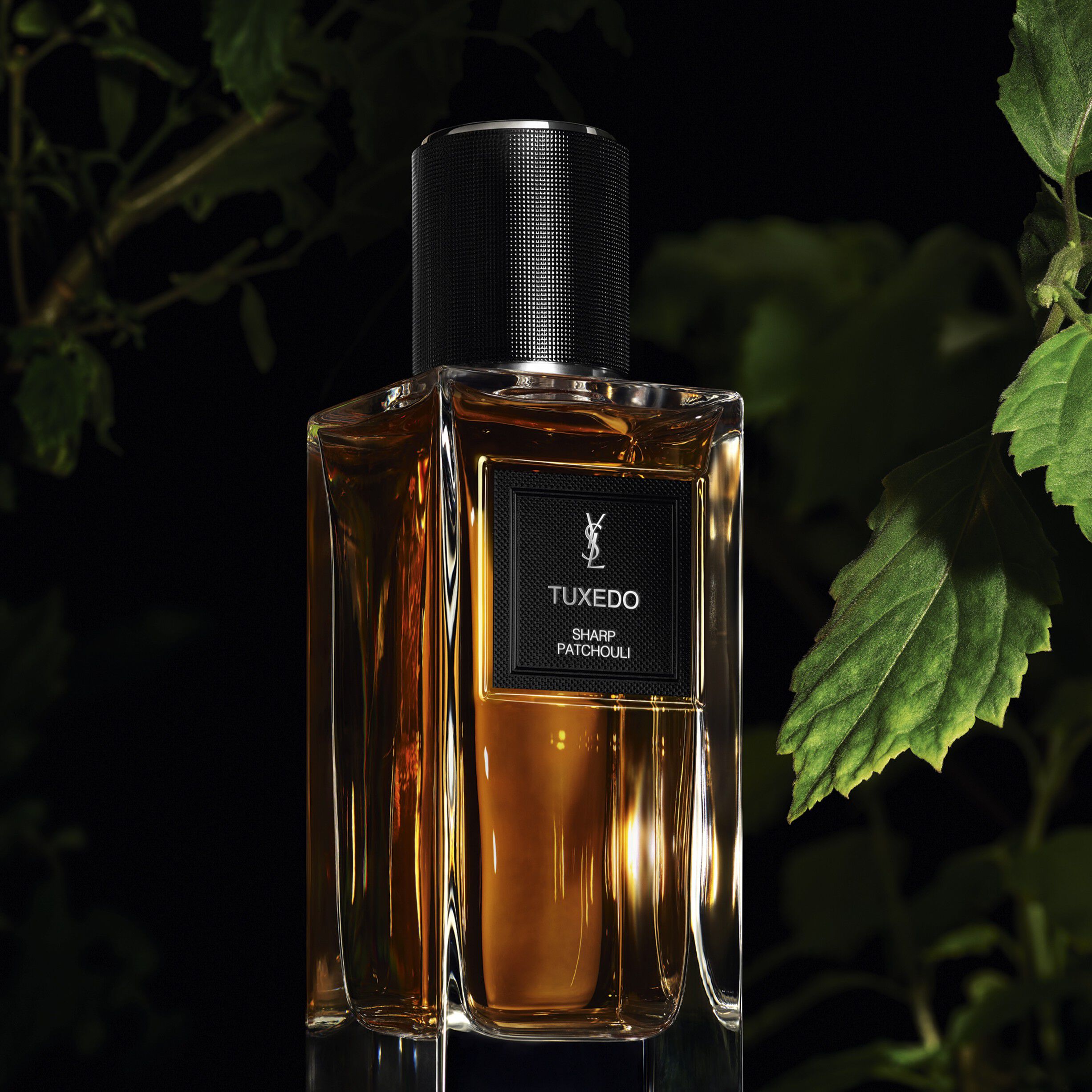 Le Vestiaire des Parfums Tuxedo
