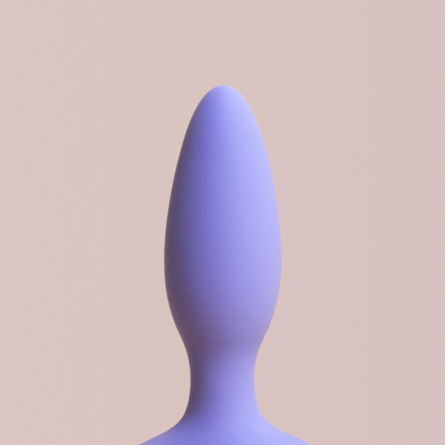 The Neighbor Anal Vibrator