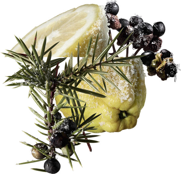 TERRE D'HERMÈS EAU GIVRÈE EAU DE PARFUM