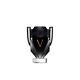 Invictus Victory Eau de parfum