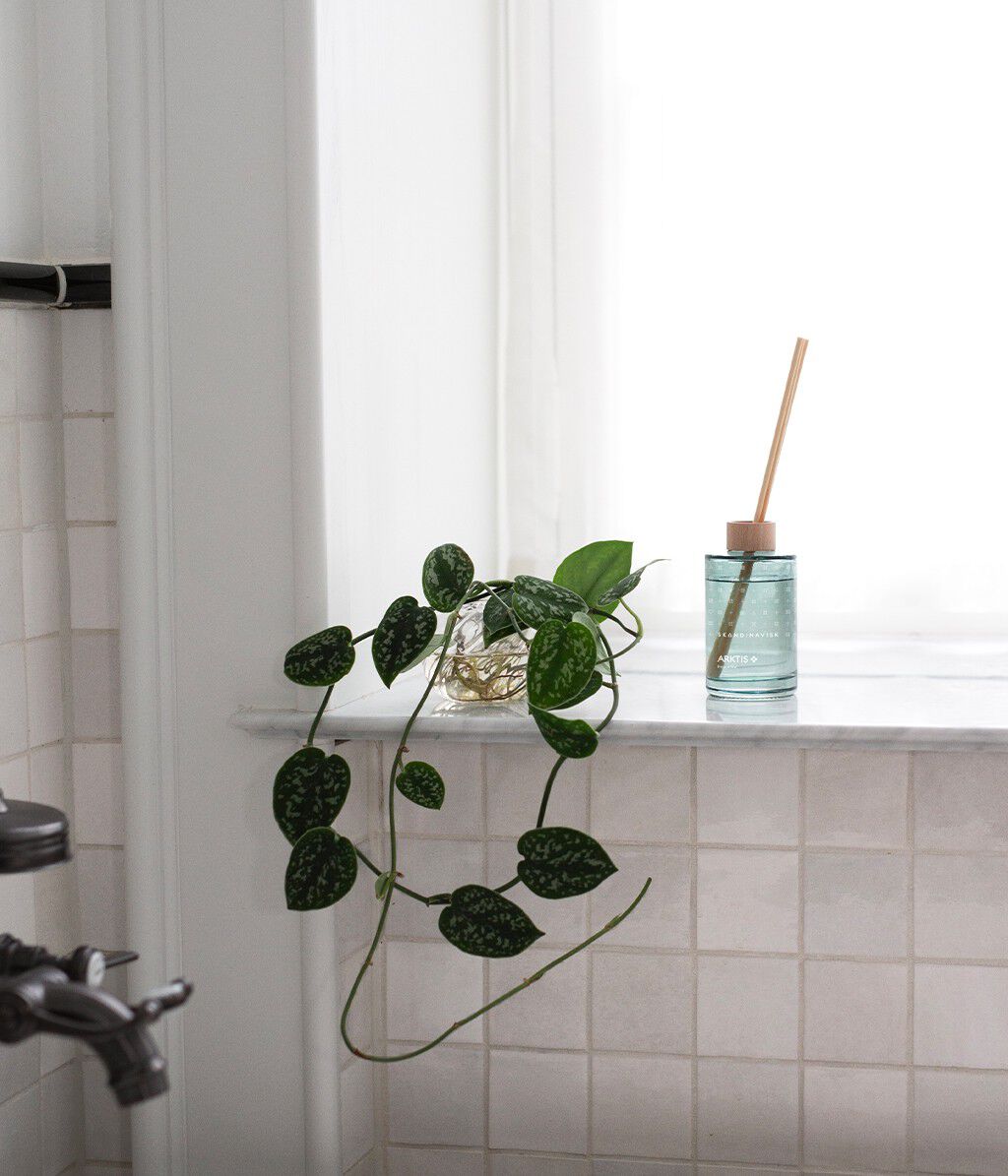 ARKTIS Scent Diffuser 200ml