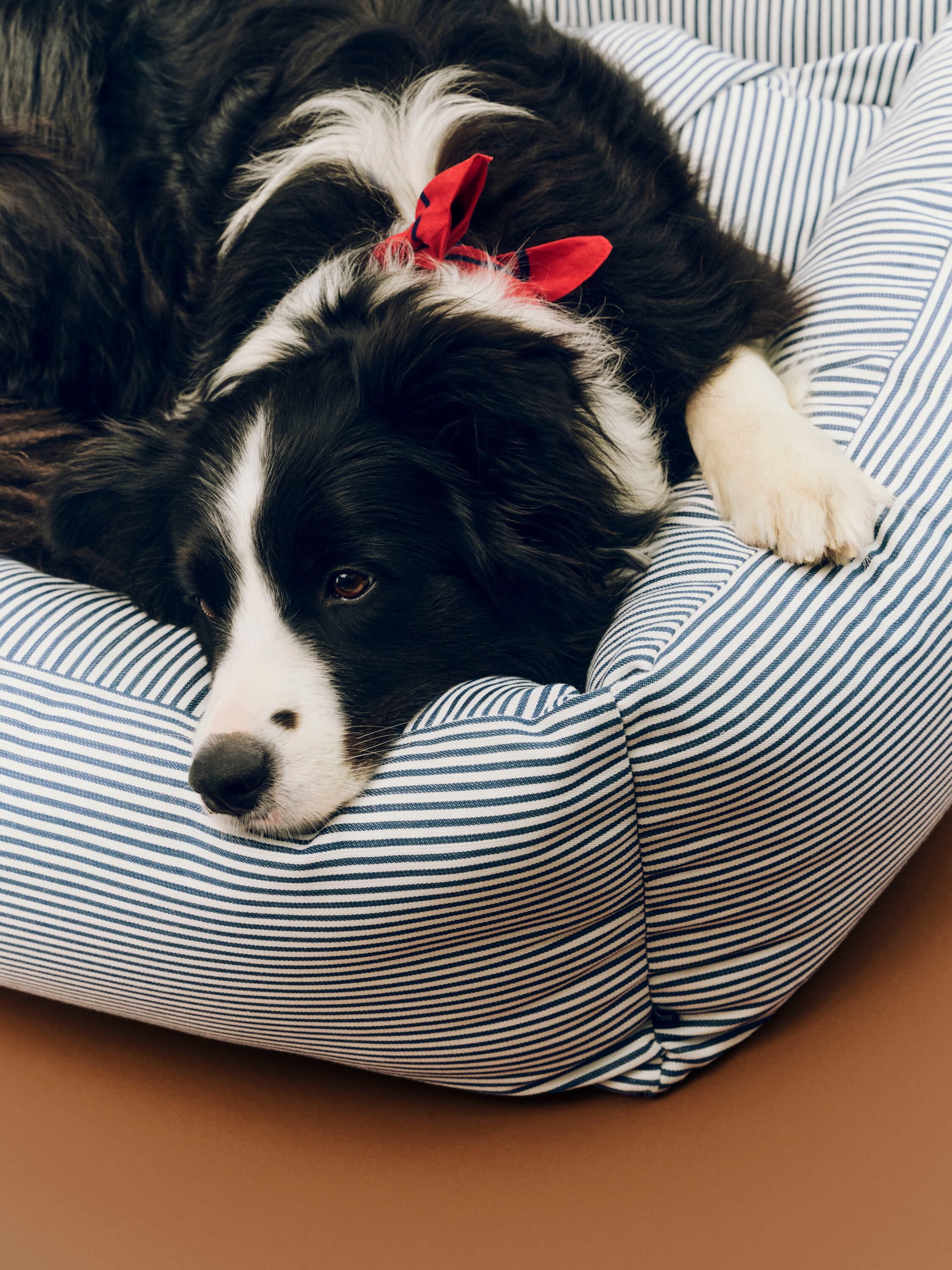 HAY Dogs Bed Zip-Large-Blue and whi