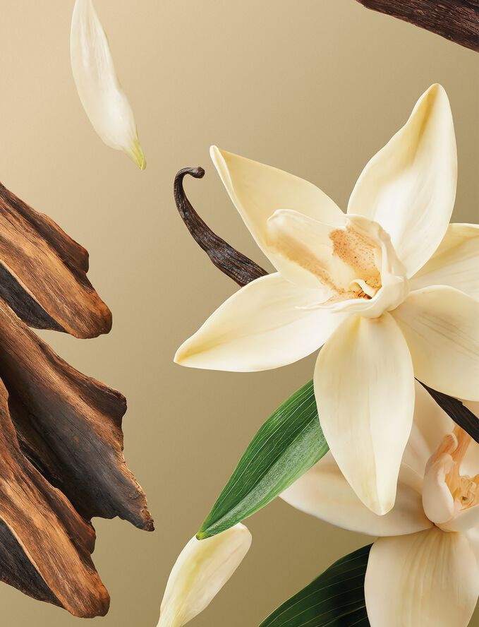 Intuitia Body Exfoliator 100ml