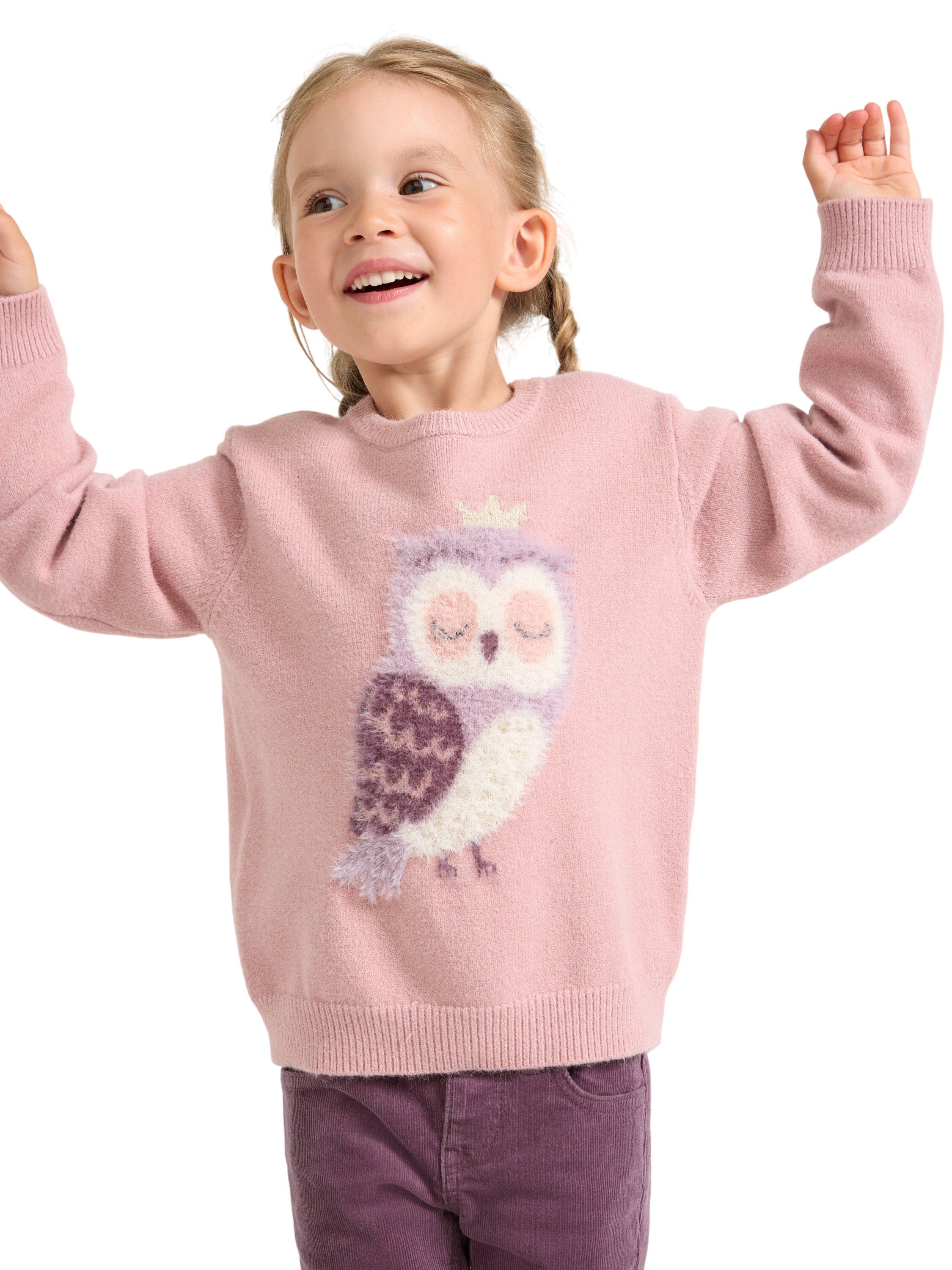 Sweater intarsia animal placem