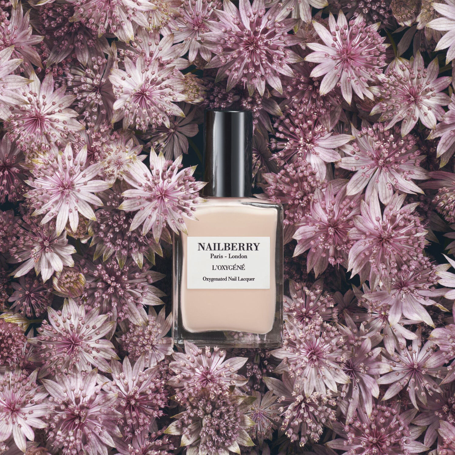NAILBERRY Au naturel 15 ml